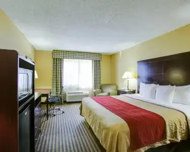 Comfort Inn Austin - 3