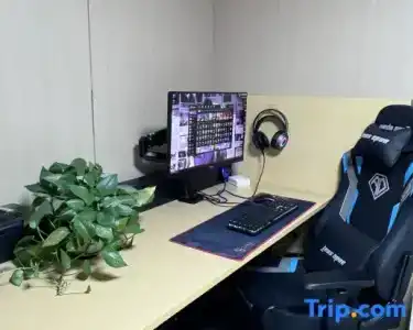 Xiangxueyuan Esports - 31