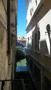 Testa d'Oro - 15