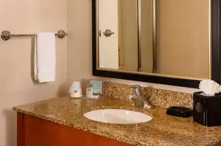 Hampton Inn & Suites Houston Medical Center NRG Park - 8