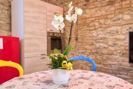 Palazzo Rivola - 156