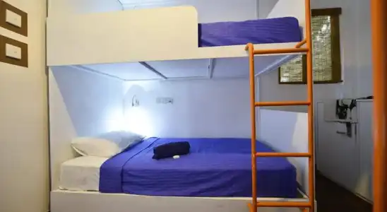 Hangover Hostels at Mirissa - 4
