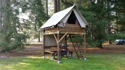 Azur Waldcamping Auwaldsee - 48