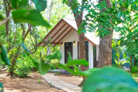 Palmyra Nature Resort Sigiriya - 49