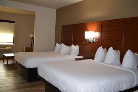 Wingate by Wyndham College Station South - 70