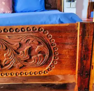 Dolphin Bay Resort - 1