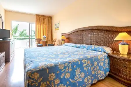 Tabaiba Princess - 6