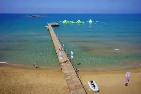 AQI Pegasos Royal - 19