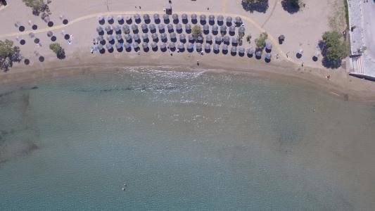 Dolphin Bay Seaside Resort & Suites - 21
