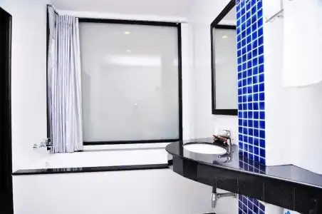The BluEco - 55
