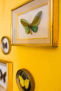 Le Jardin d'Emile - 51