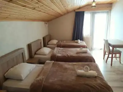 Nino Ratiani's Guesthouse - 9