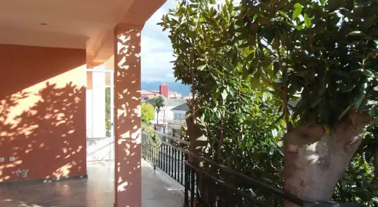 Magnolia Guest House - 6