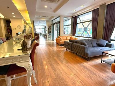 Hotellino - 21