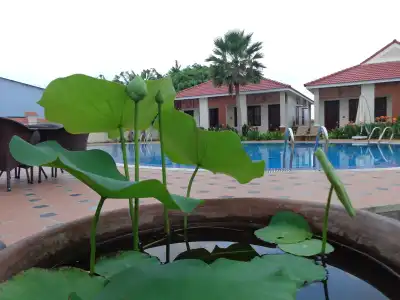 Bach Duong Phu Quoc Resort - 16