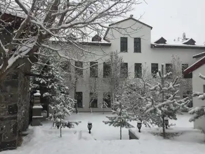 Cheltikov - 0