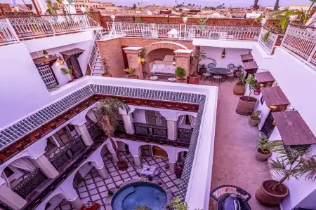 Riad Bamileke - 0