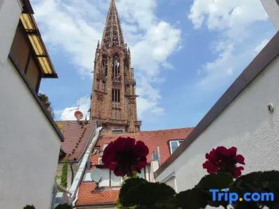 BoutiqueOberkirch im Zentrum - 63