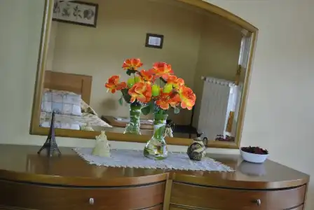 Movida Inn B&B - 5