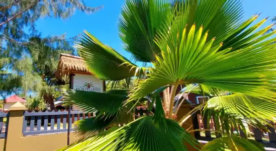 Hostellerie la Digue - 25