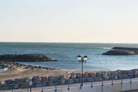 Hôtel Le Dauphin Bleu - 13