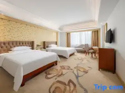 Vienna Dongguan Humen Wanda Plaza - 17