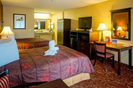 Castle Inn and Suites - 3