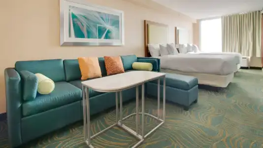SpringHill Suites by Marriott Orlando Lake Buena Vista South - 34