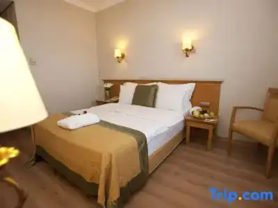 Zhejiang Business - 31