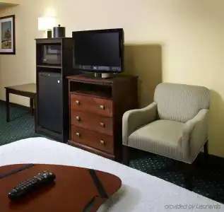Hampton Inn & Suites Clearwater/St. Petersburg-Ulmerton Road, FL - 5