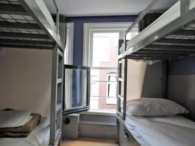 The White Tulip Hostel - 22