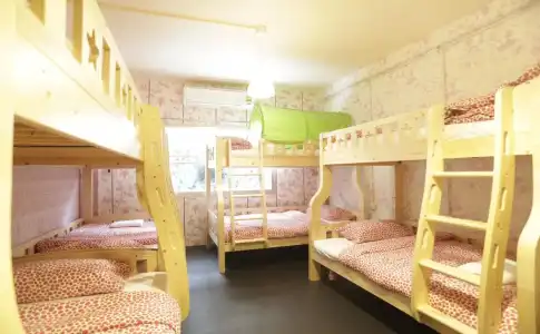 Tiger Lily Hostel - 4