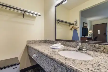 Quality Inn Bellevue - 25
