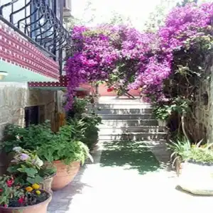 Sezgin Boutique - 32