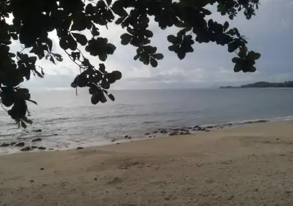 Lanta Marina Resort - 0