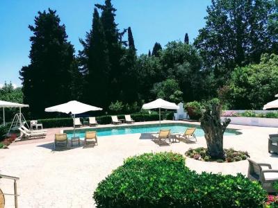Summer Wine Friendly Resort - 19