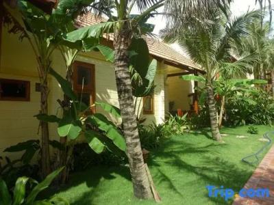 Free Beach Resort - 42