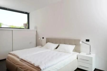 Oranda Village - 1