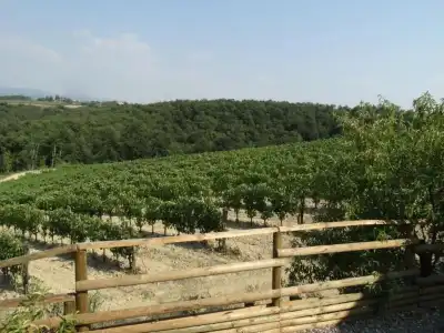 Agriturismo Montegonfoli - 76