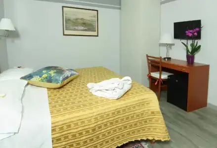 Albergo al Viale - 66