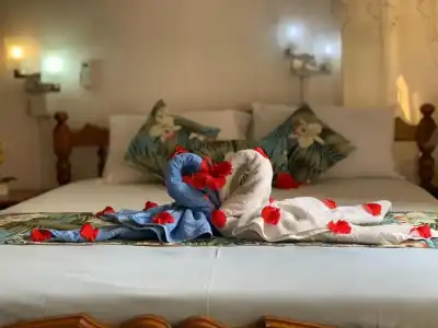 Orchid Sunset Guest House - 14