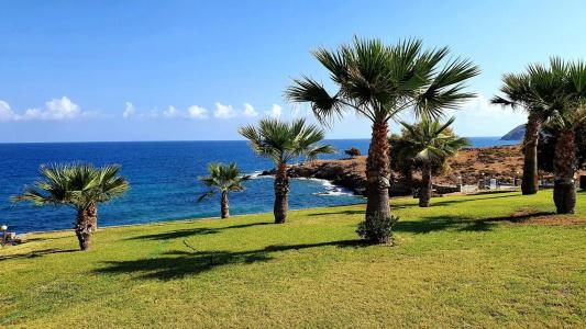 Stella Beach - 37