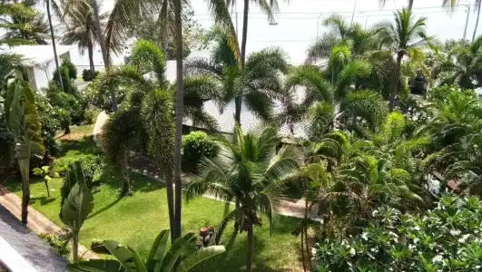 Golden Pine Beach Resort - 88