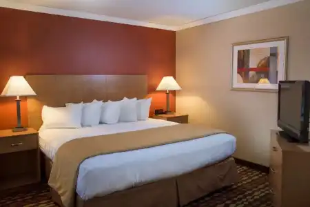Best Western Ambassador Inn & Suites - 51