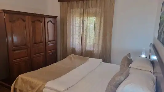 Palata Venezia - 357