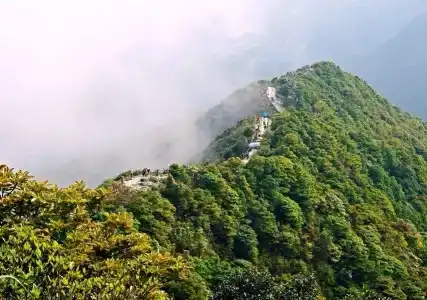 Vienna Shenzhen Shawan Branch - 6