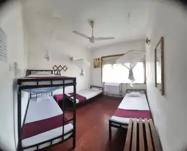 The Best Hostel - 7