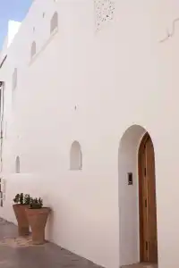 Riad Zyo - 0