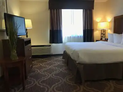 Ashmore Inn and Suites - 3