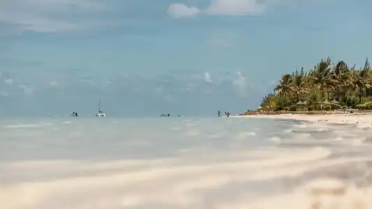 Paradise Beach by Horizon Holidays - 105
